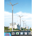 for Asian Market Outdoor LED Street Light (DL0011)